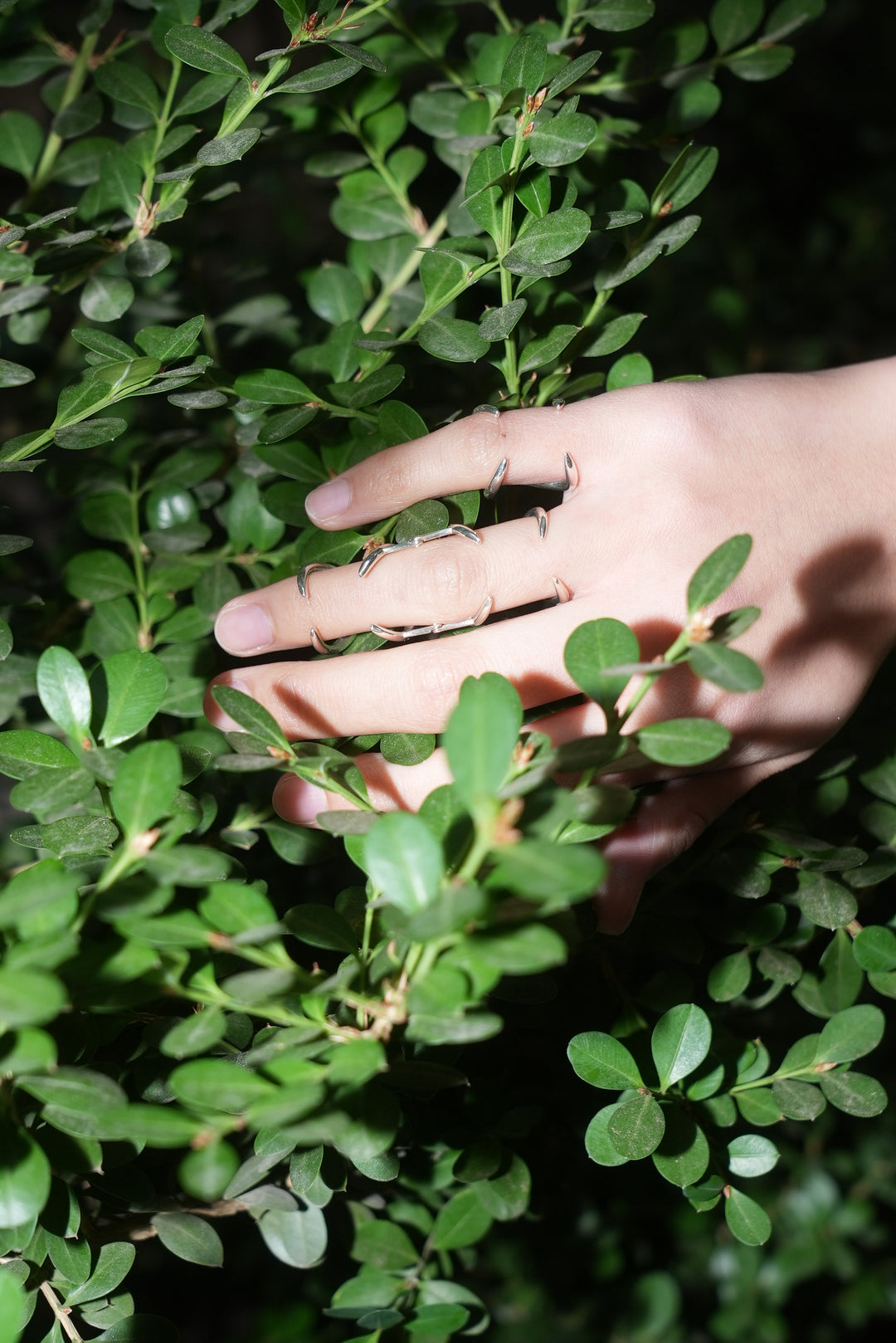 K-PERCHED RING